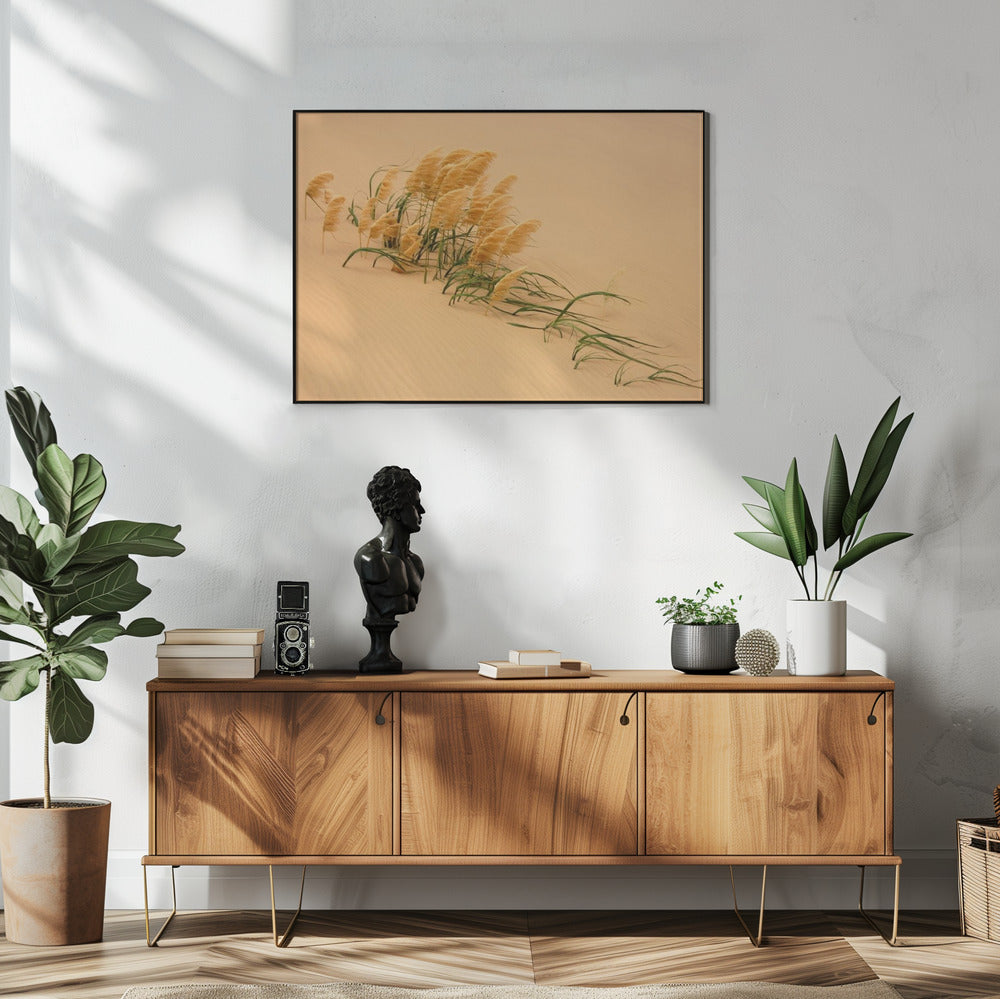 Pampasgras in Sanddüne | Poster