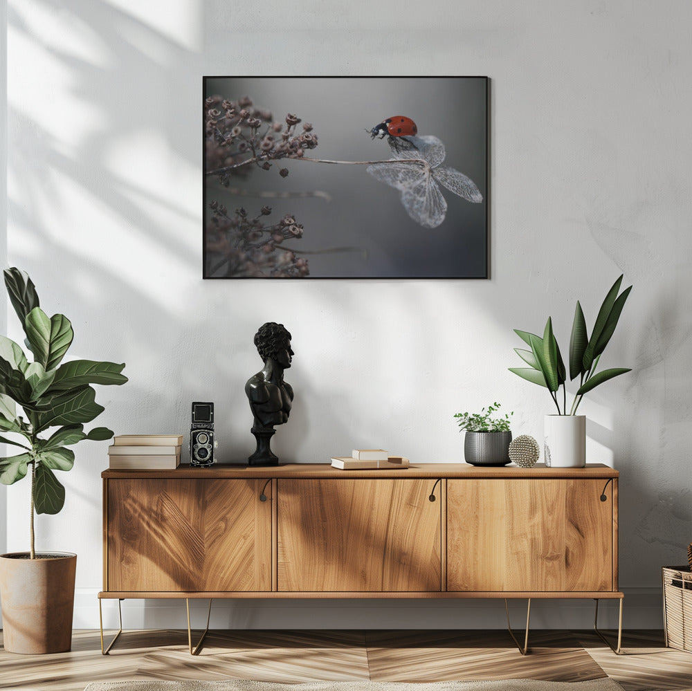Marienkäfer auf Hortensie. | Poster