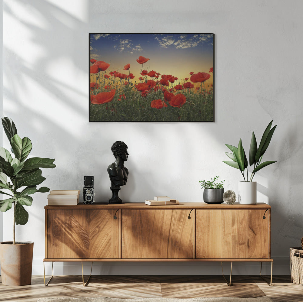 Poppies | Poster