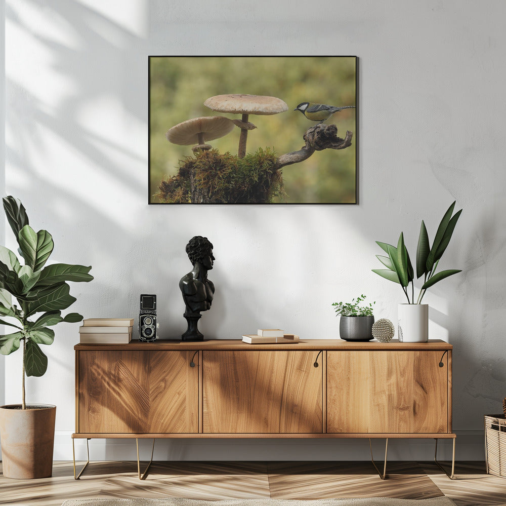 Mein kleiner Teil der Welt | Poster