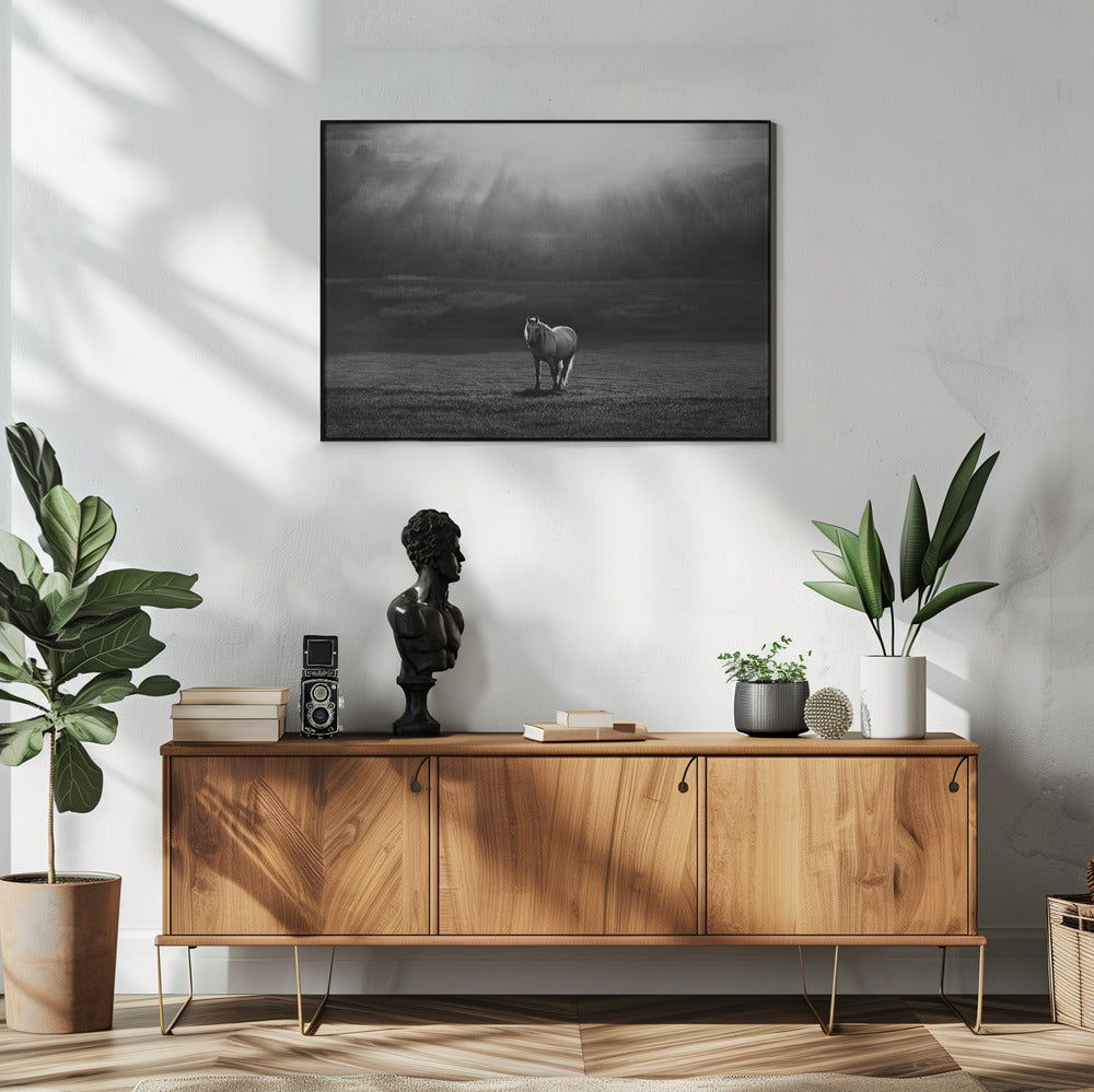 morning appearance | Poster