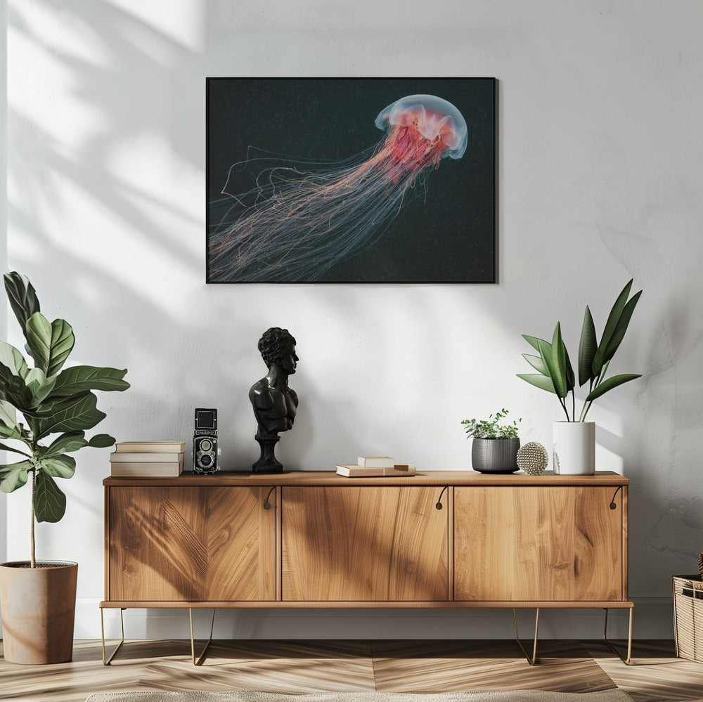 Longtail | Poster