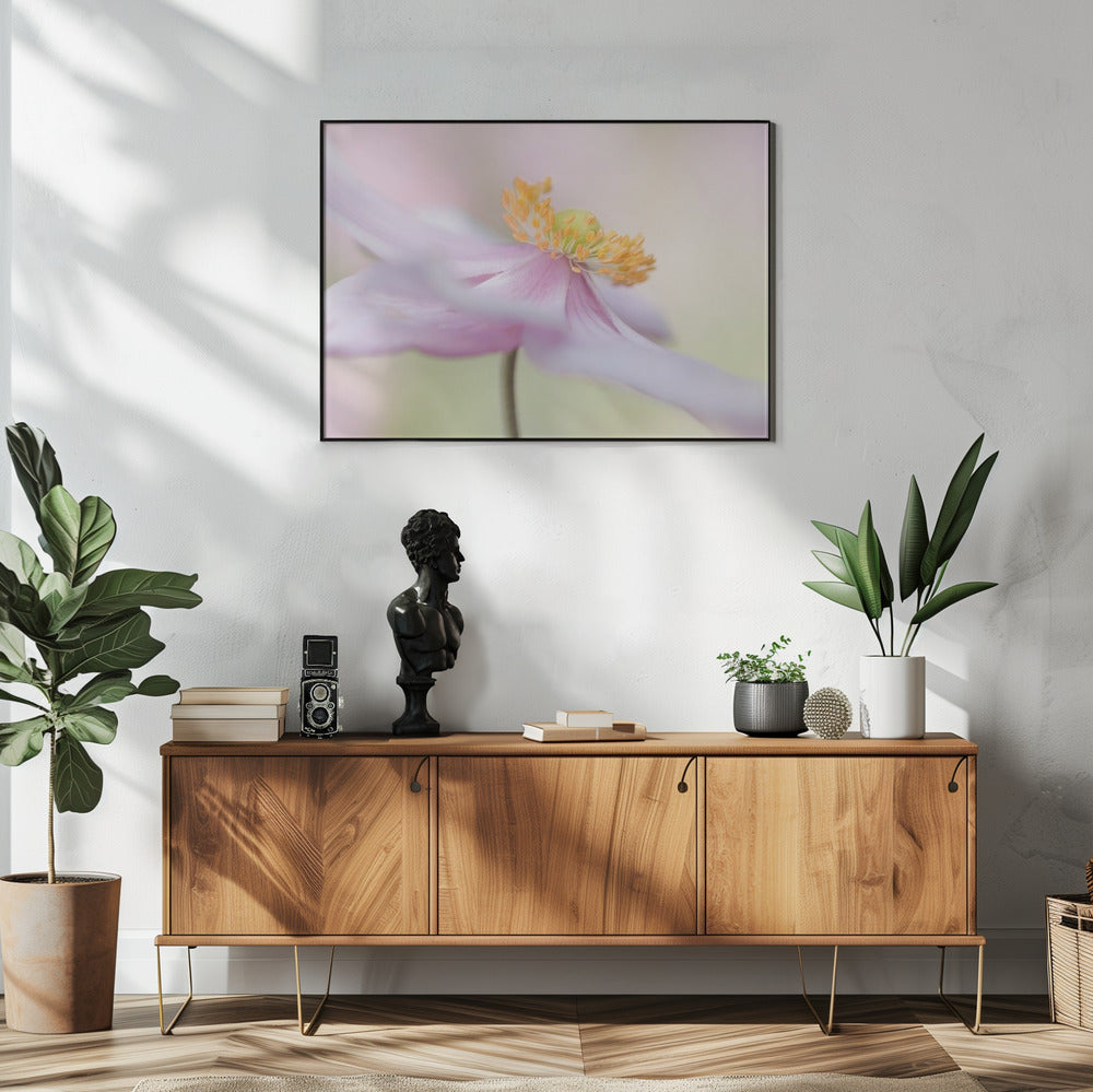 Japanische Anemone | Poster