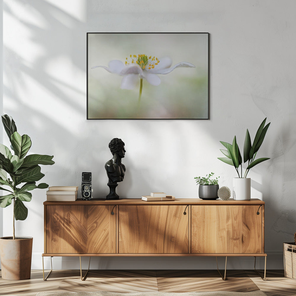 Nemorosa* | Poster