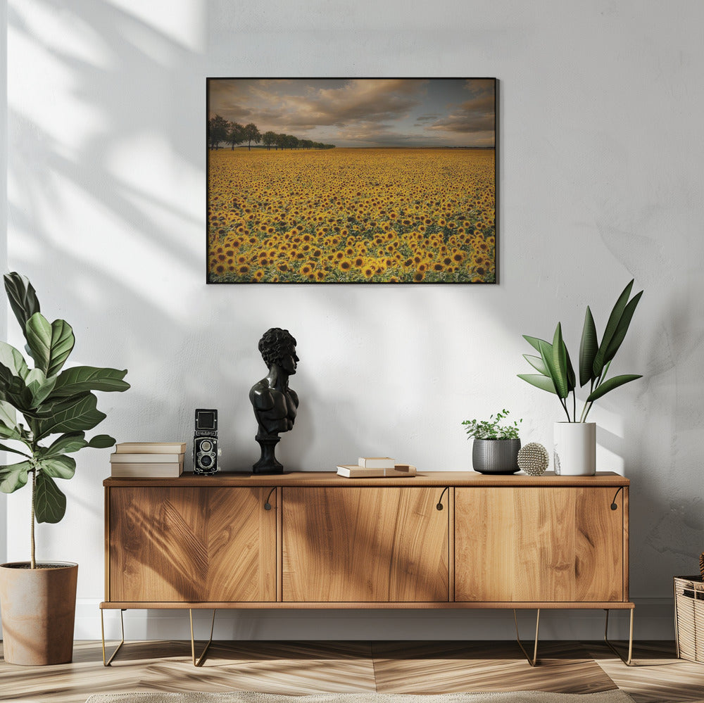 Sonnenblumen | Poster
