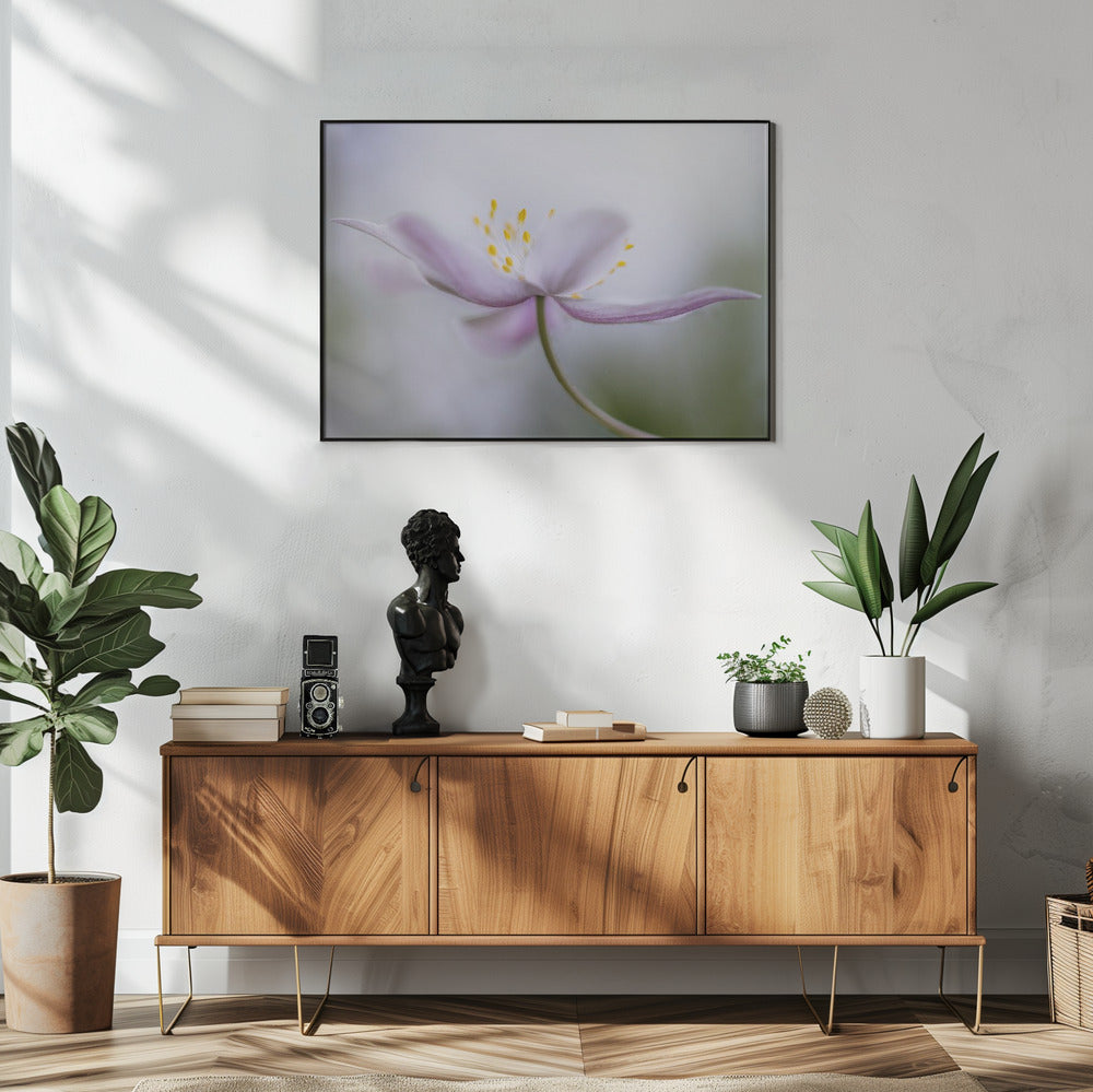 Nemorosa*** | Poster