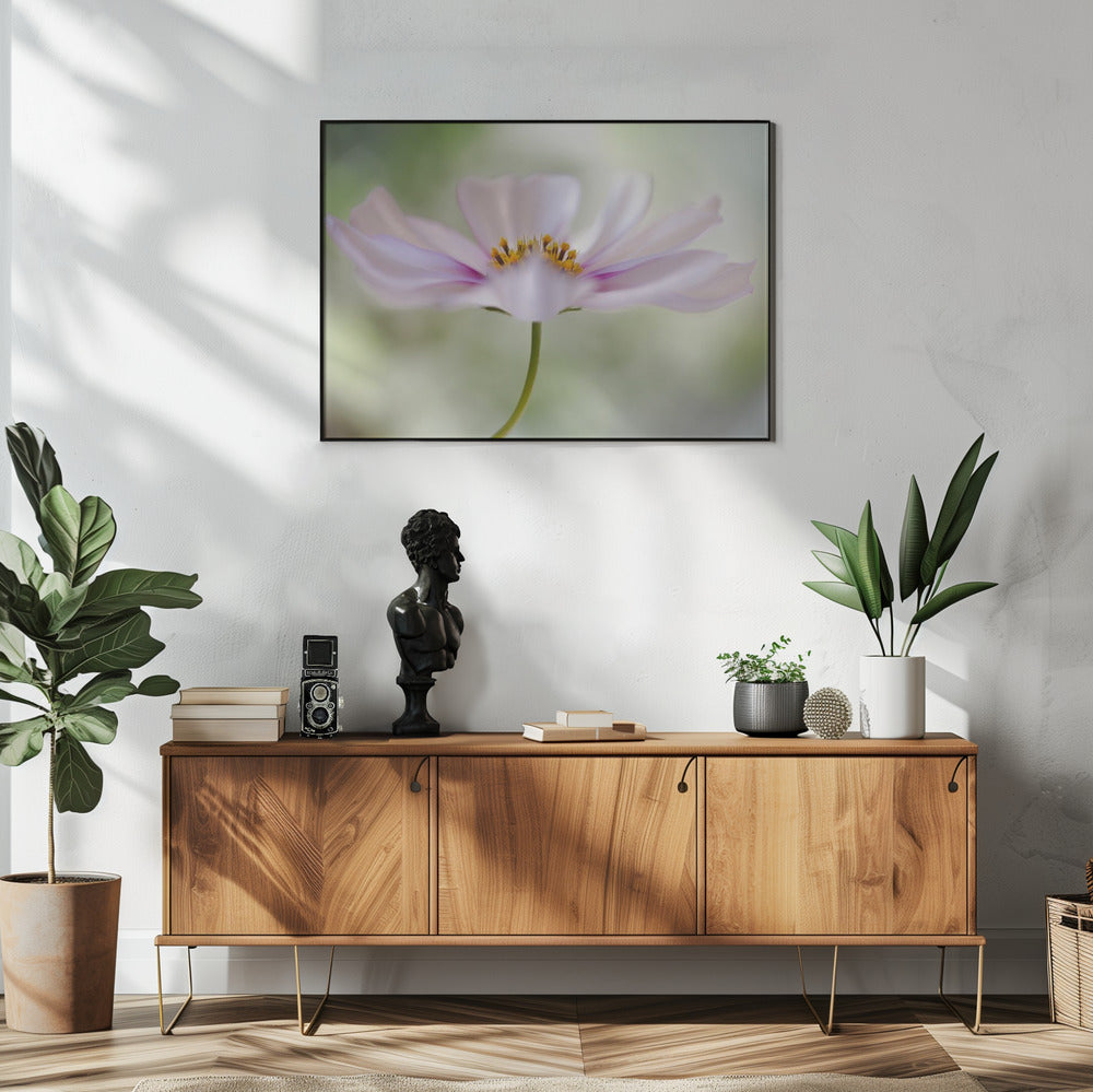 Cosmos Cloud | Poster