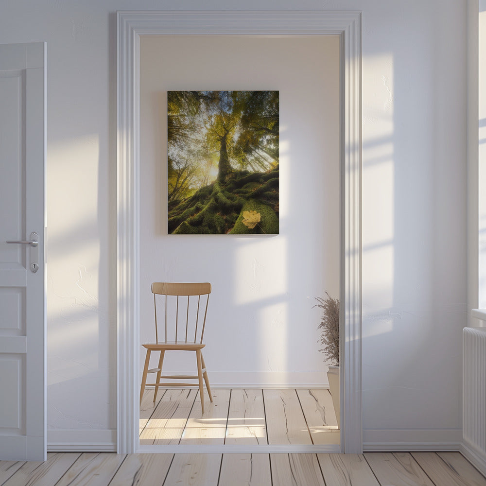 Der Abschied eines Blattes | Leinwand