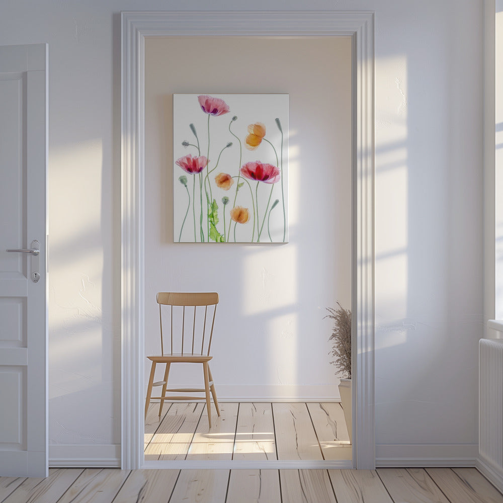 Poppies | Canvas