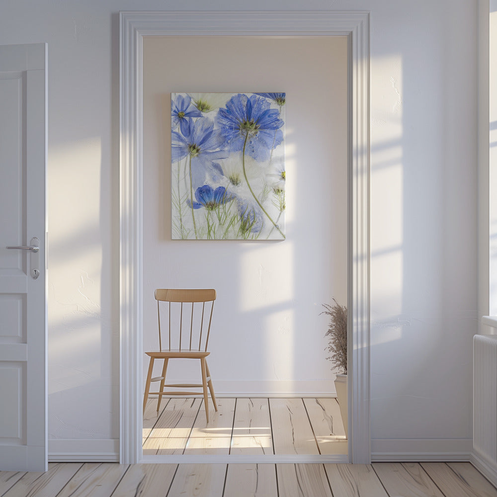Cosmos blue | Canvas
