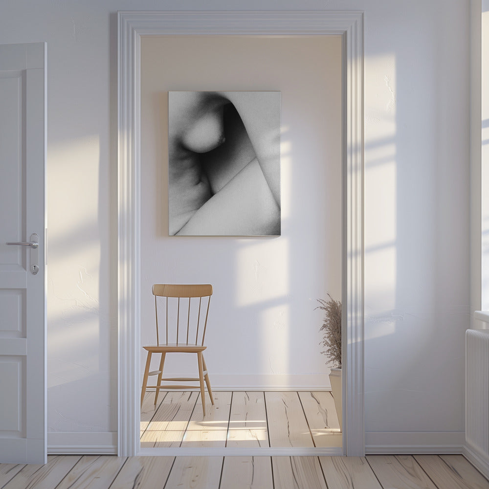 Shapes | Canvas