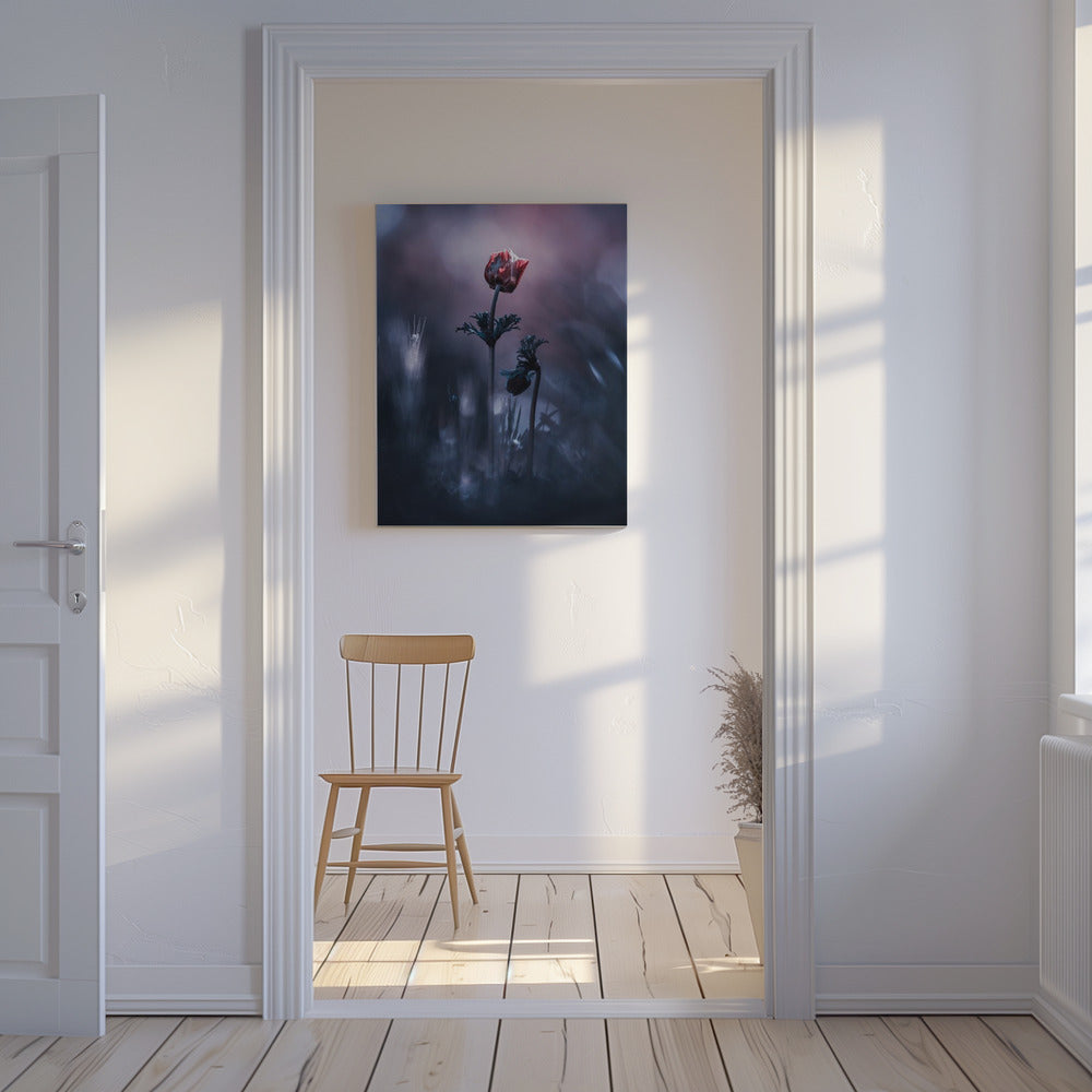 Early Girl | Canvas