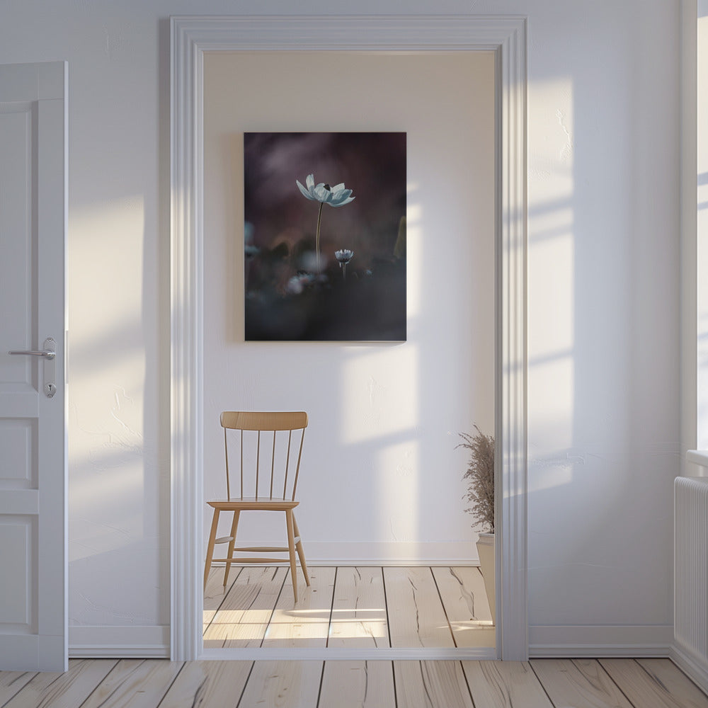 Elles, mes fleurs, émoi | Leinwand