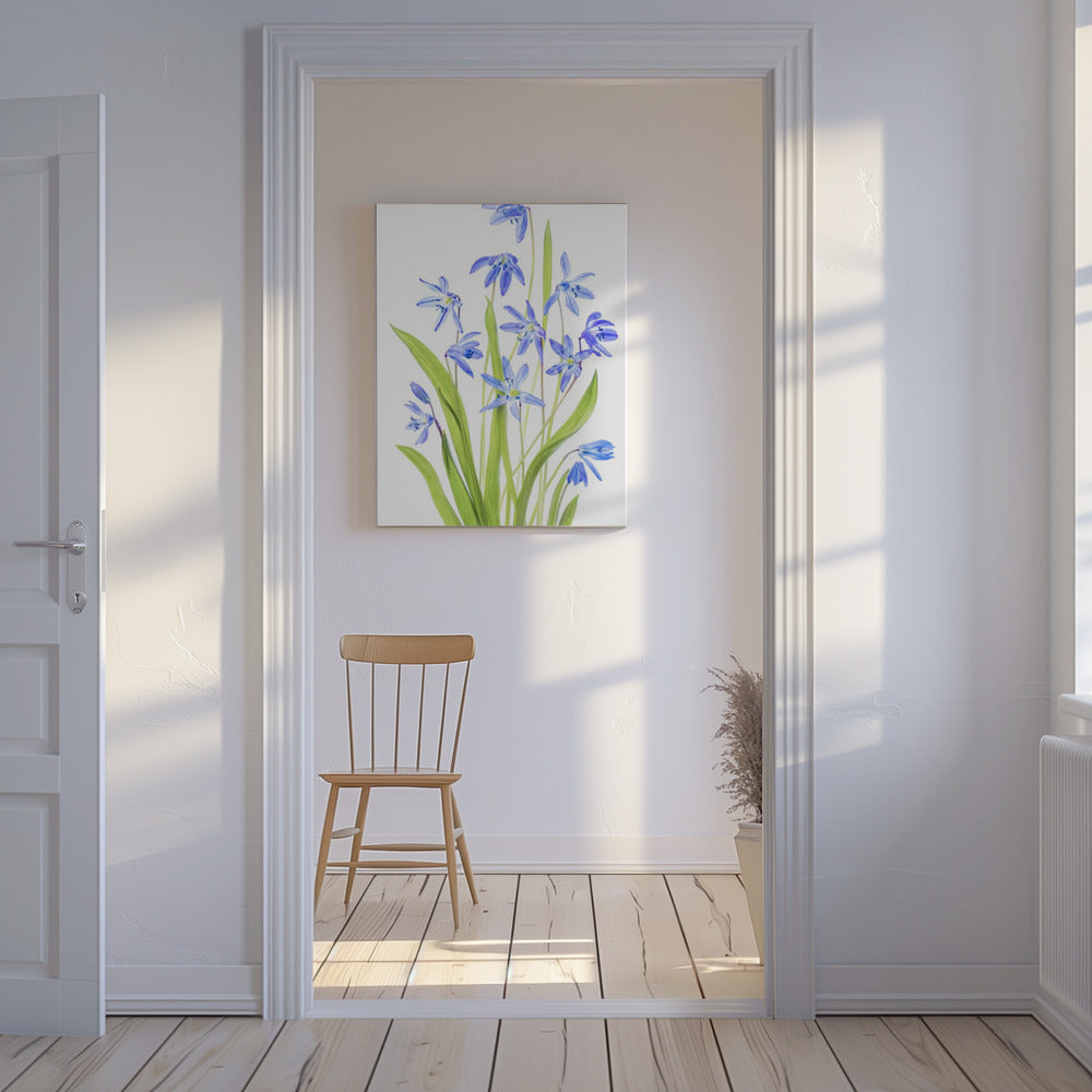 Scilla | Leinwand