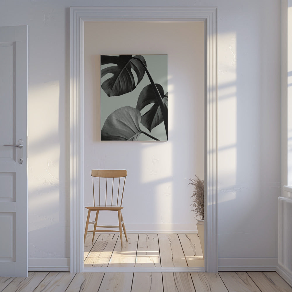 Monstera Teal 07 | Leinwand