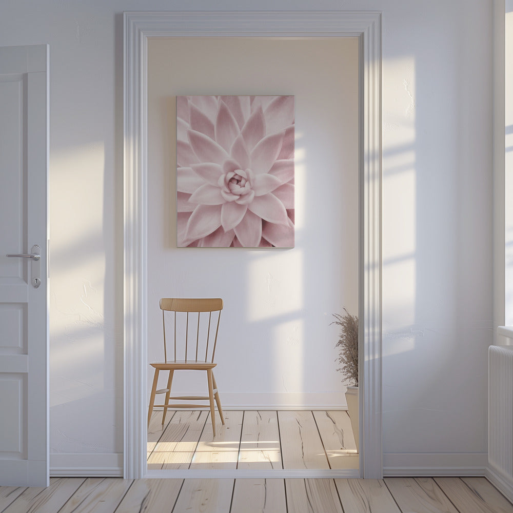 Pink Succulent | Canvas