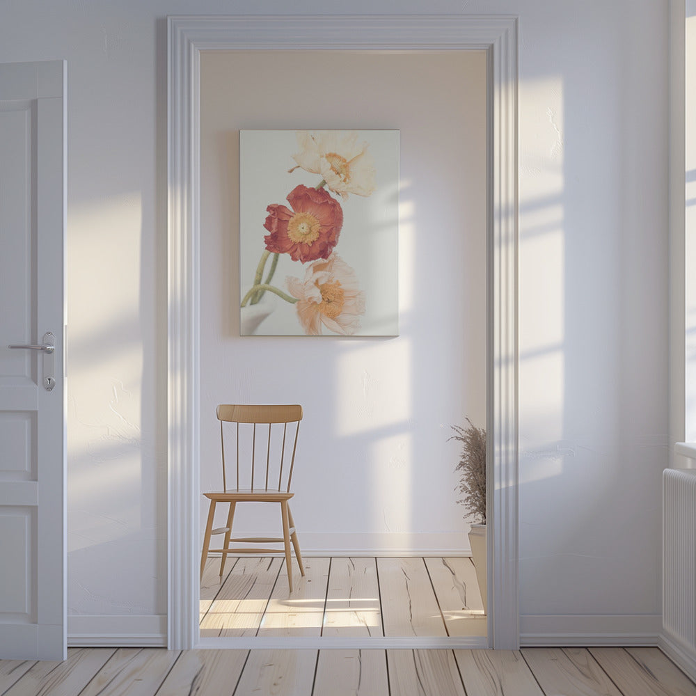 Poppies | Canvas