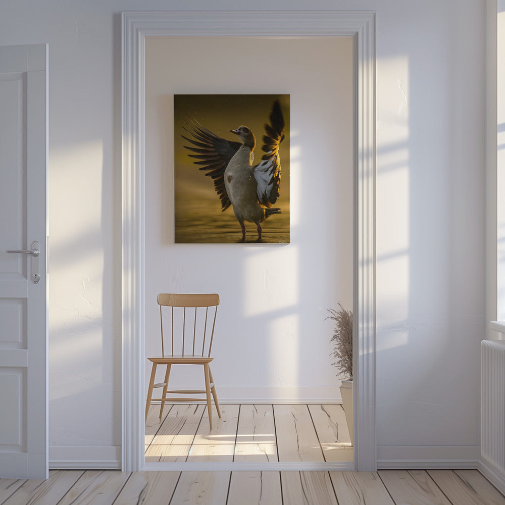 Open Heart | Canvas