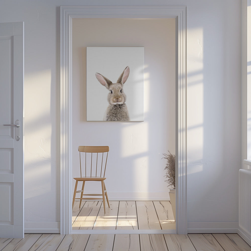 Baby Kaninchen | Leinwand