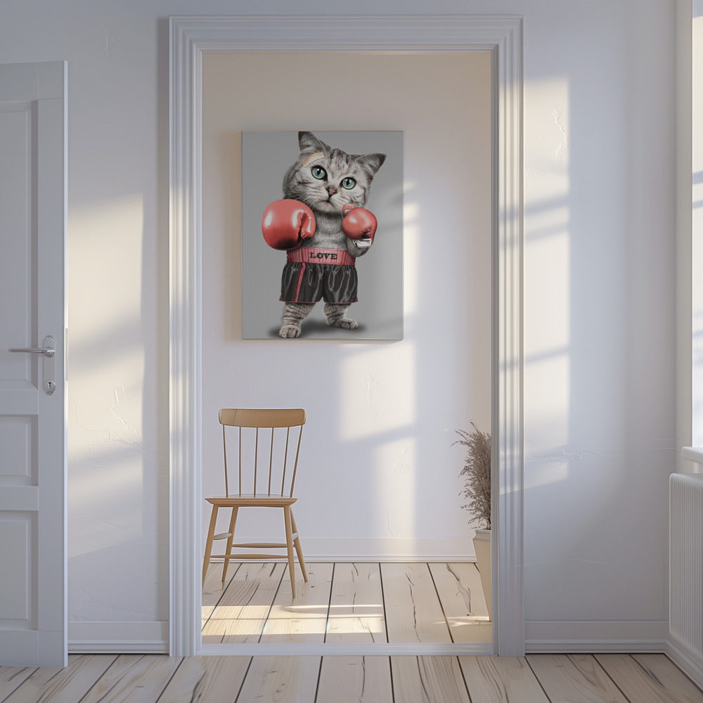 boxing cat | Canvas