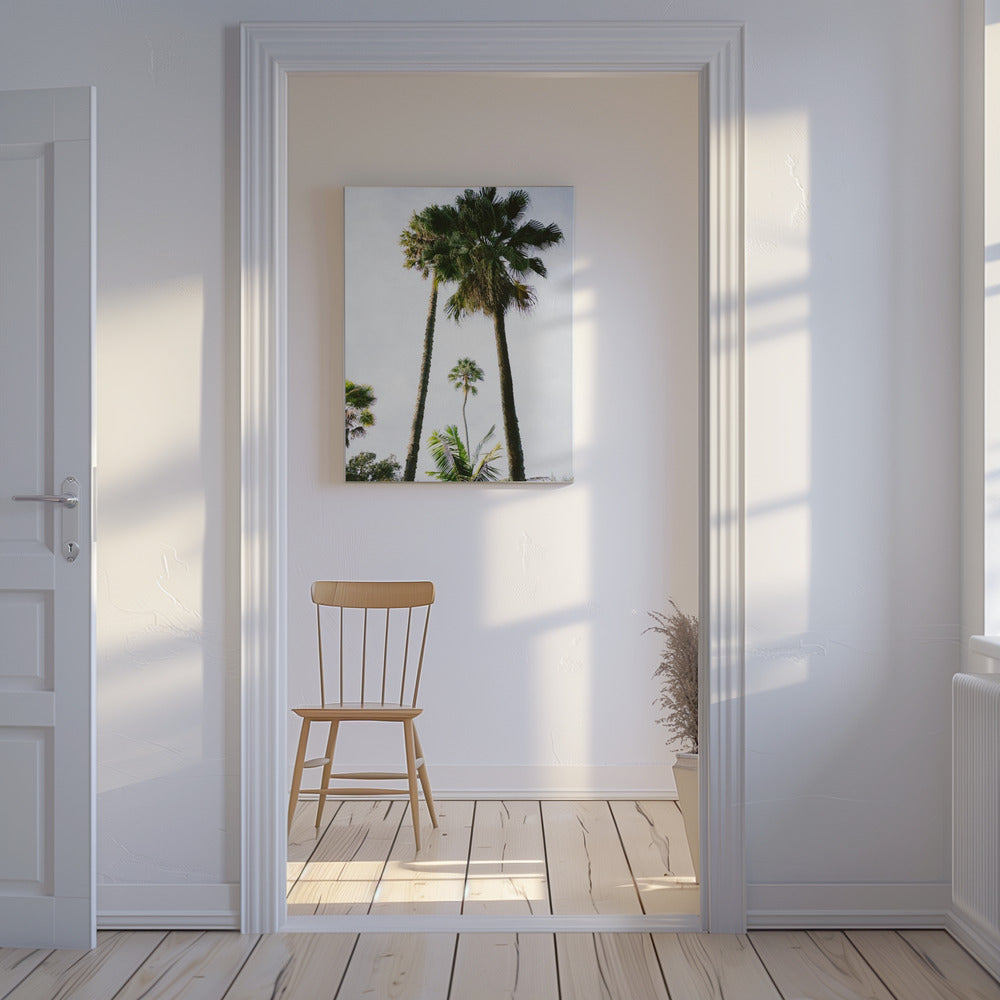 Finde mich unter der Palme | Leinwand