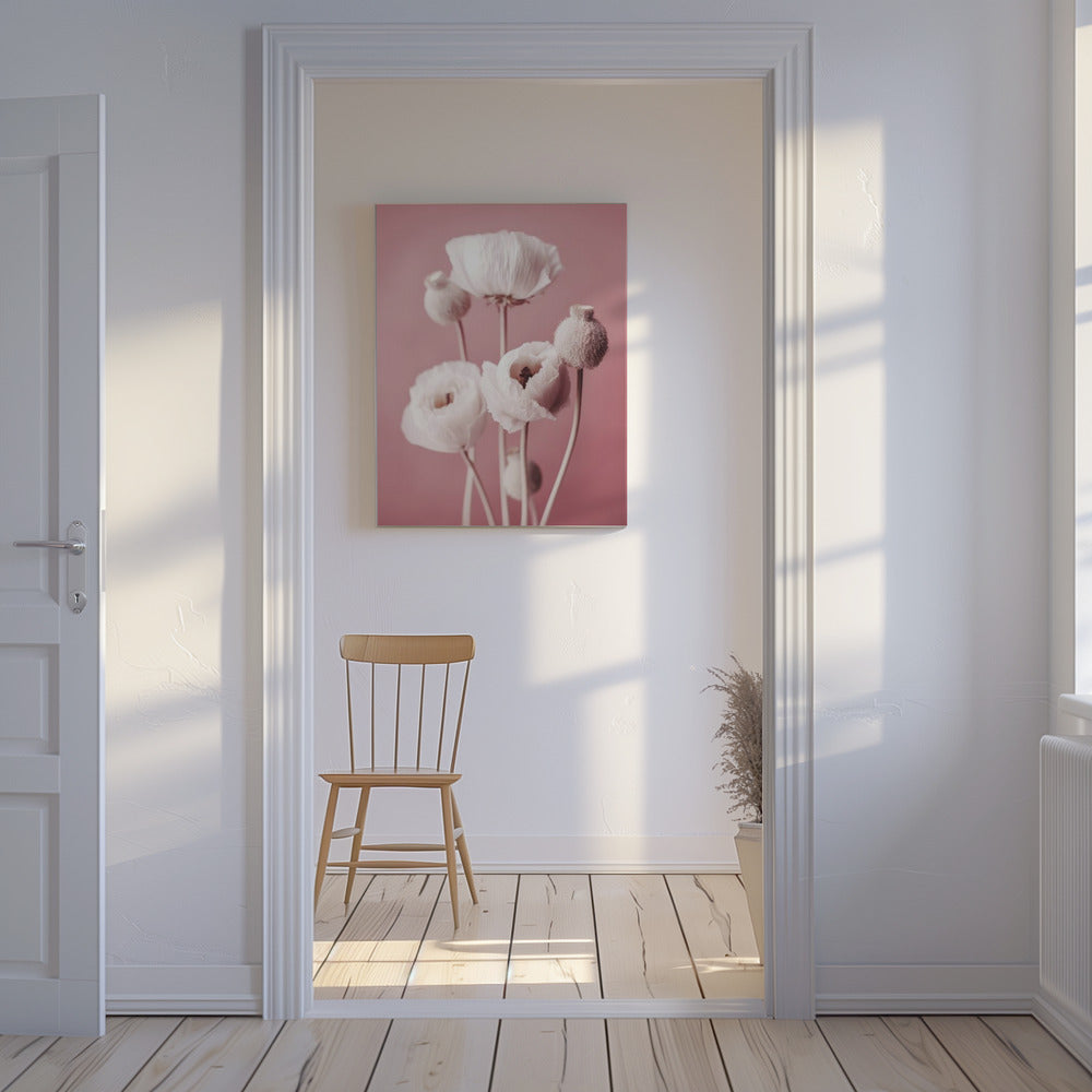 Soft Blooming Poppies | Canvas