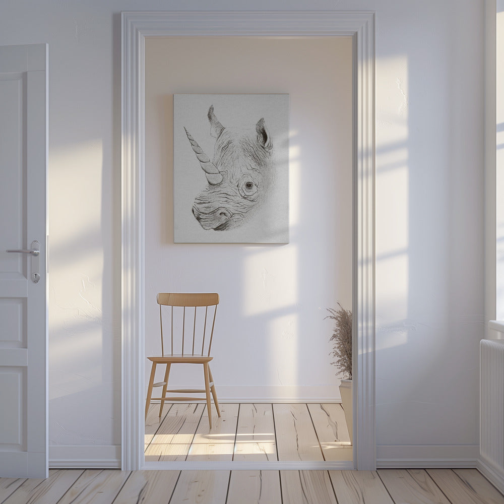 Rhinoplasty | Canvas