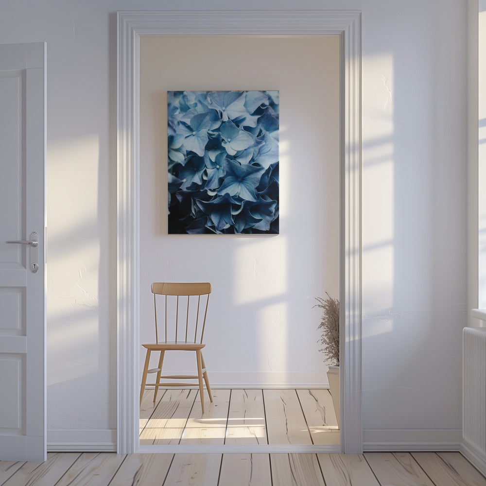 Leuchtend blaue Hortensien | Leinwand