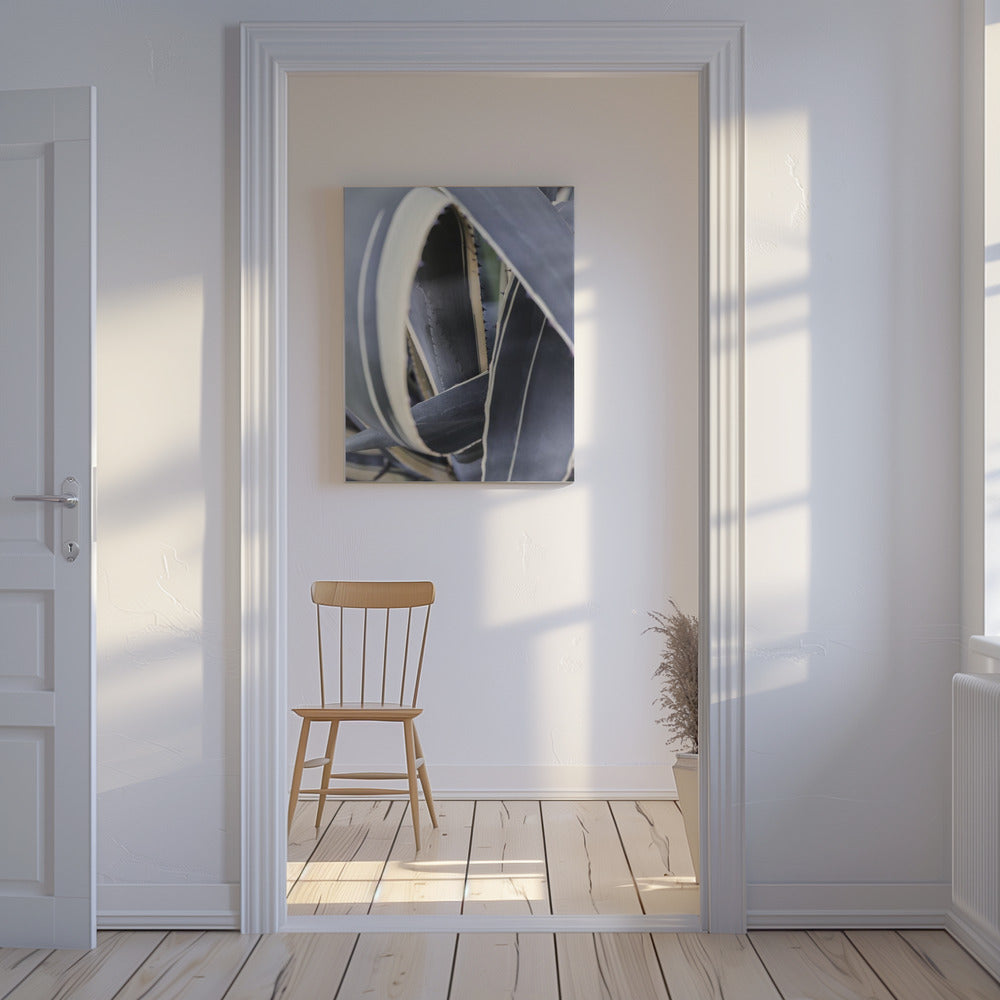 Spirale der Natur | Leinwand