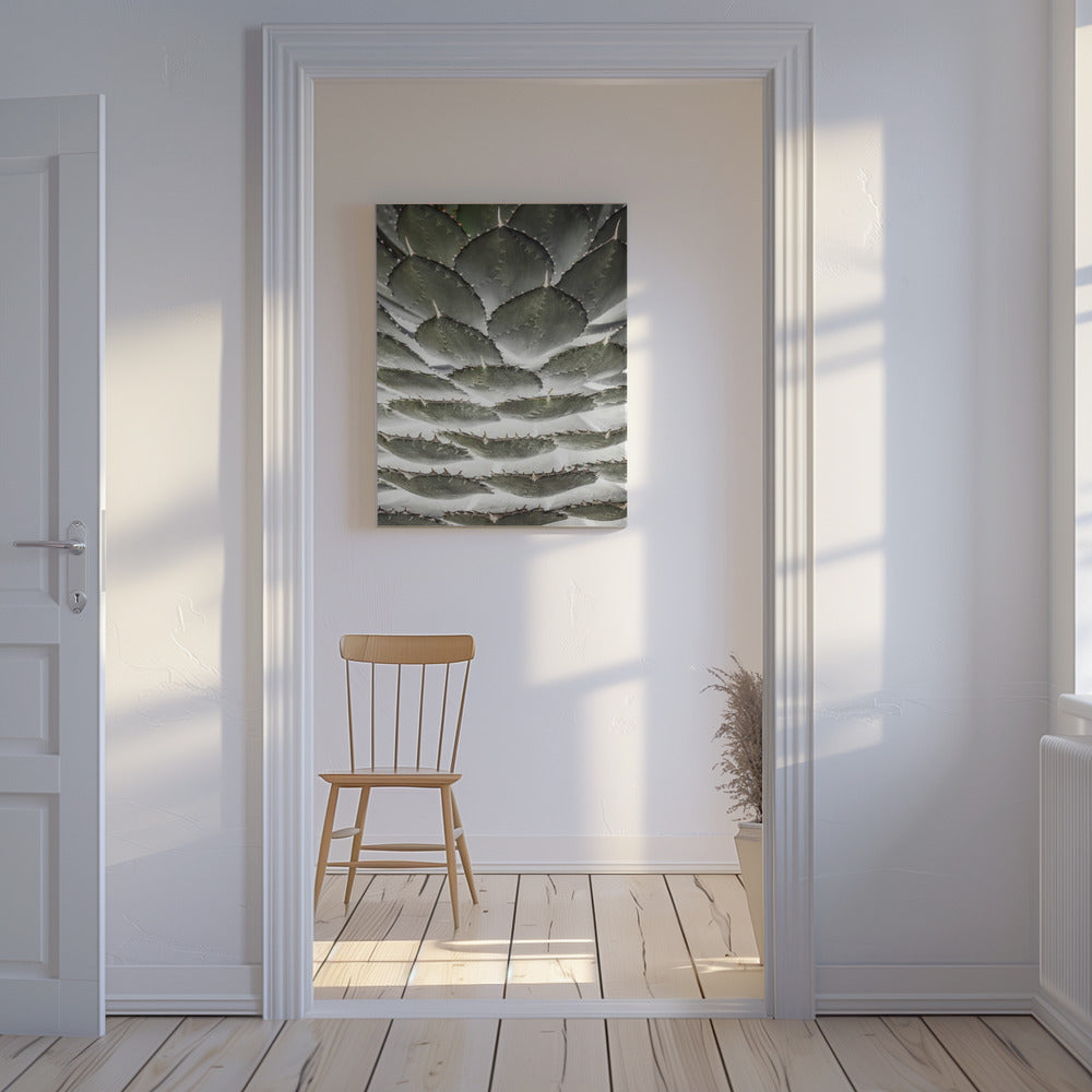 Spirale Sukkulente | Leinwand