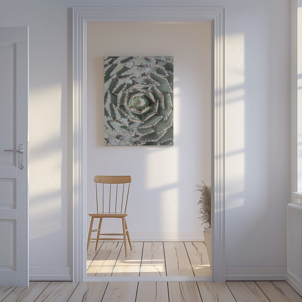 Spiral Succulent Maze | Canvas