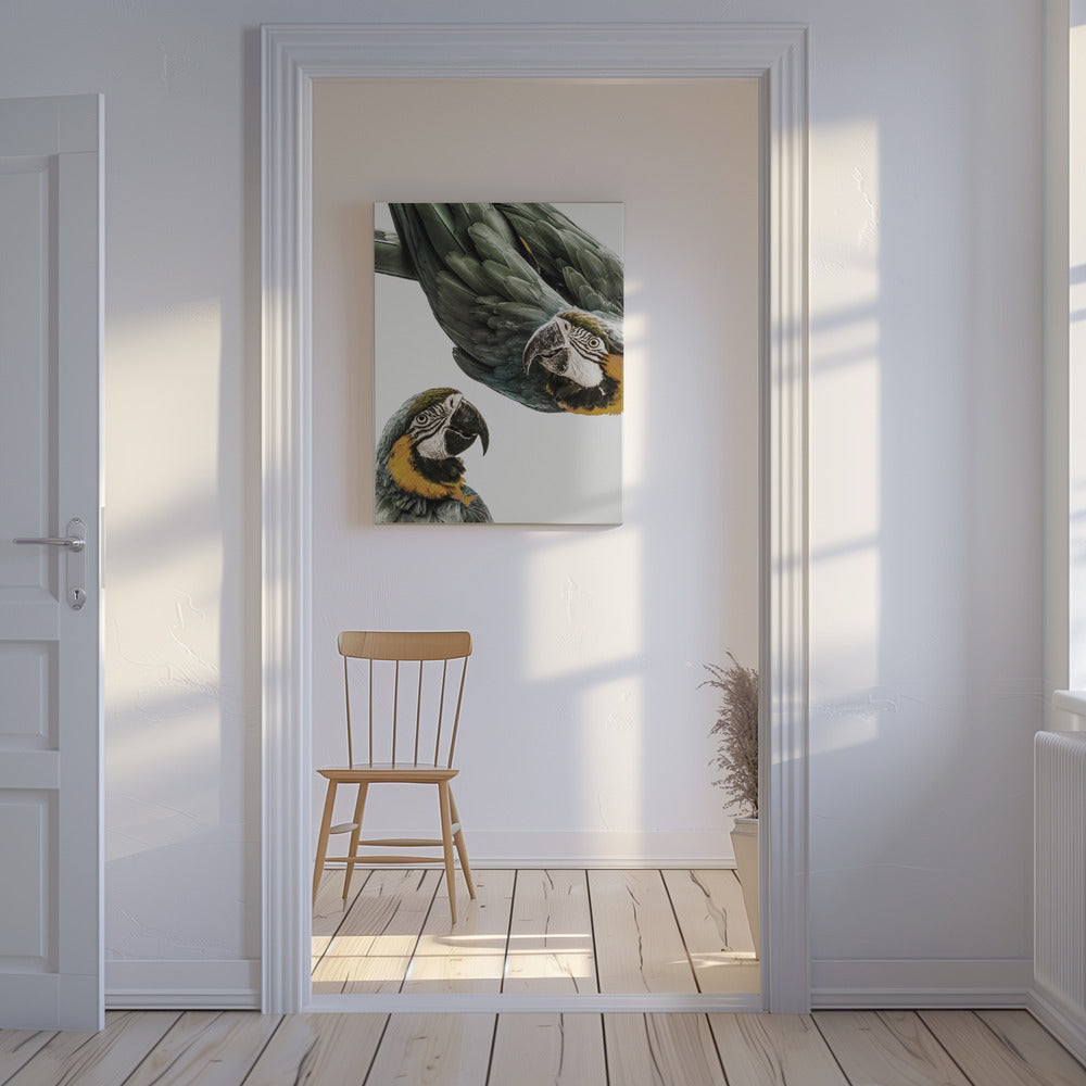 Lebendiges Papageien-Duo | Leinwand
