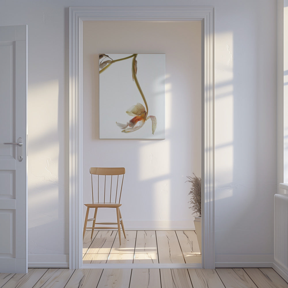 Eleganter Verfall | Leinwand