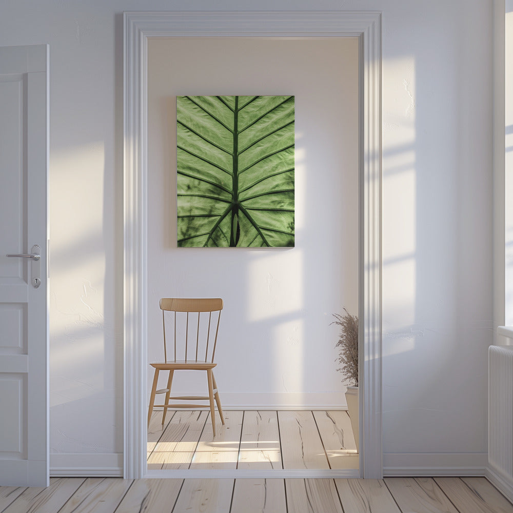 Leaf Vein Symphony | Canvas