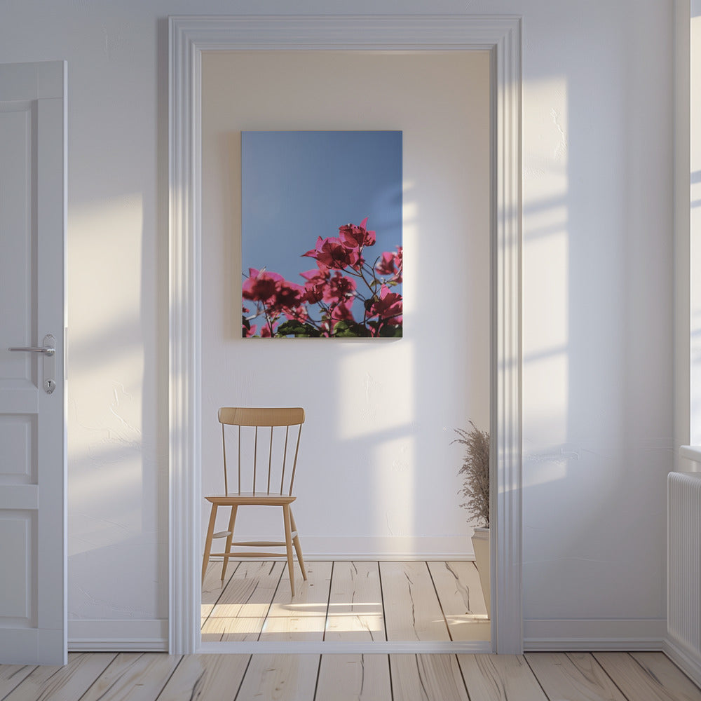 Bougainvillea Bliss | Canvas