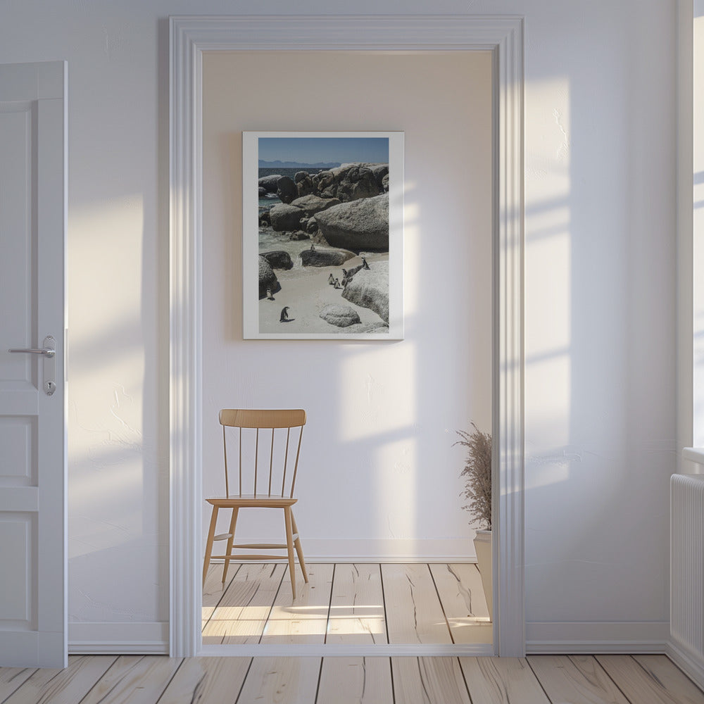 Penguins' Coastal Stroll | Canvas