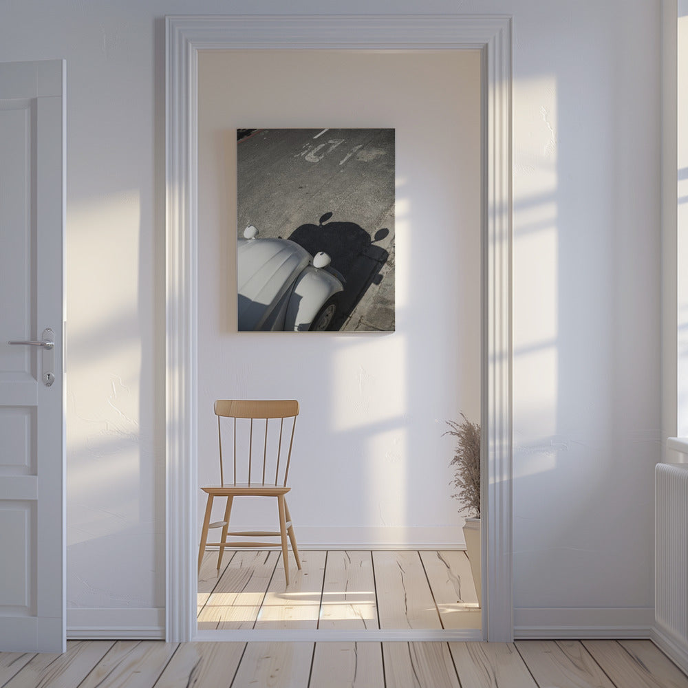 Klassische Kurvenschatten | Leinwand