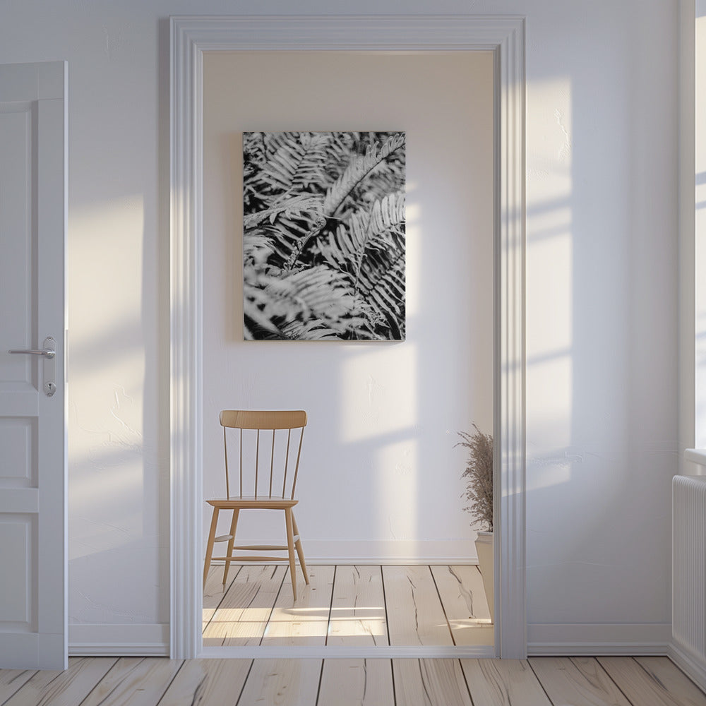 Whispering Ferns | Canvas