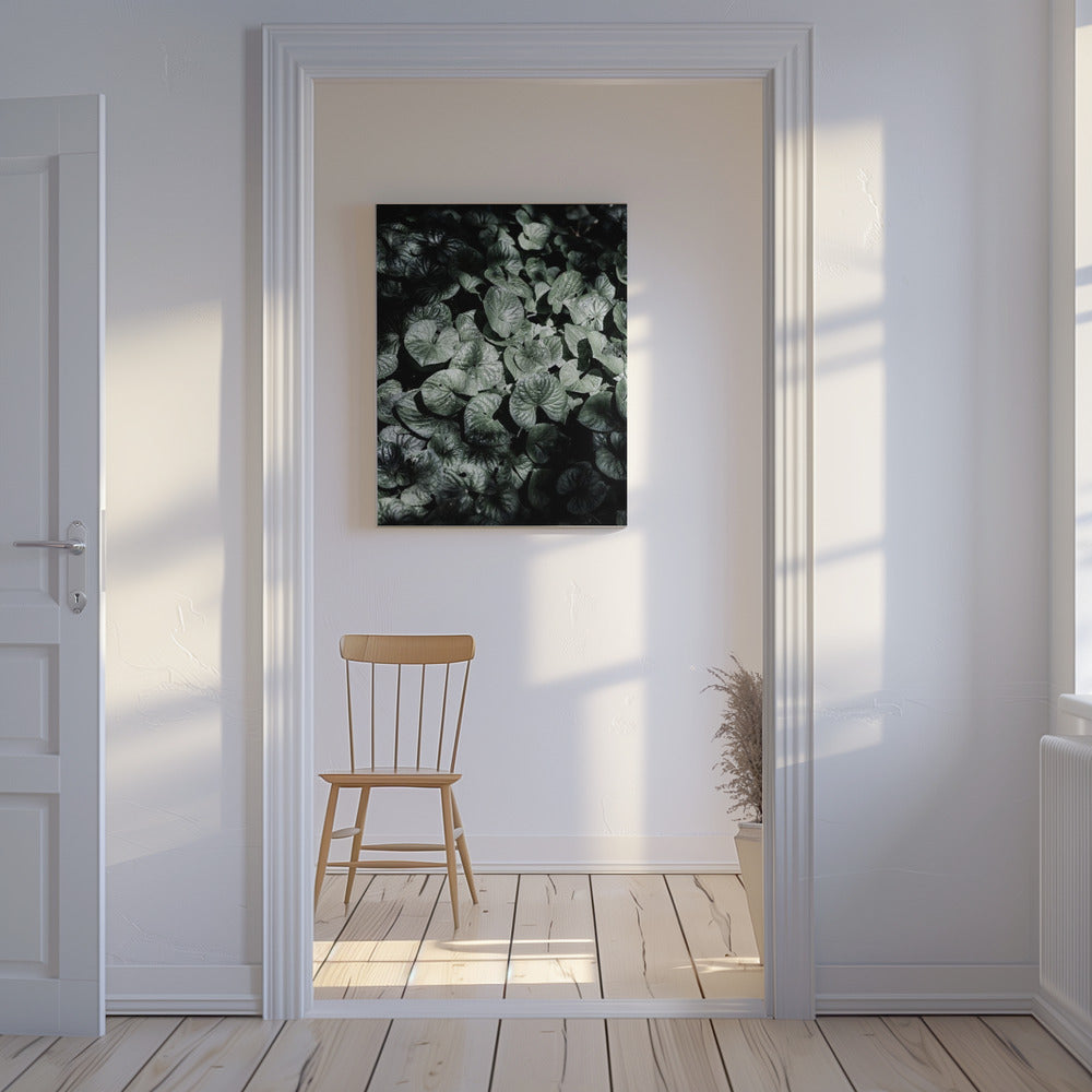 Leafy Shadows | Canvas