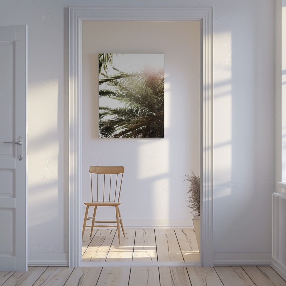Sunlit Palm Glow | Canvas