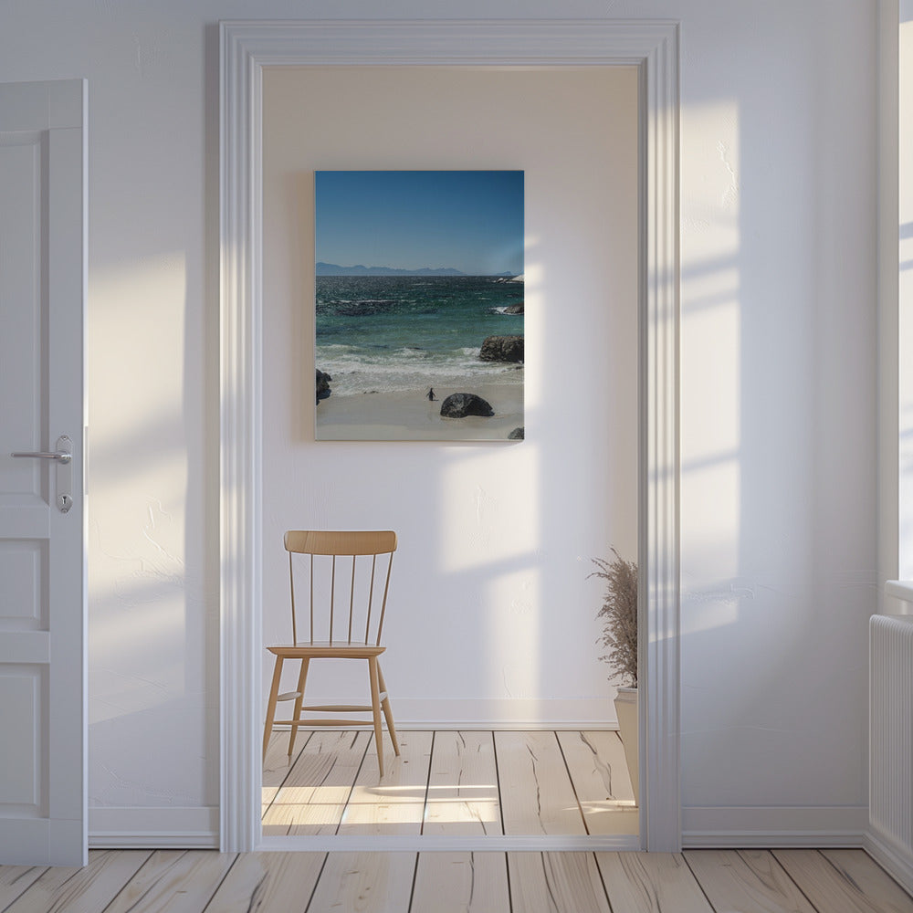 Penguin's Beach Walk | Canvas