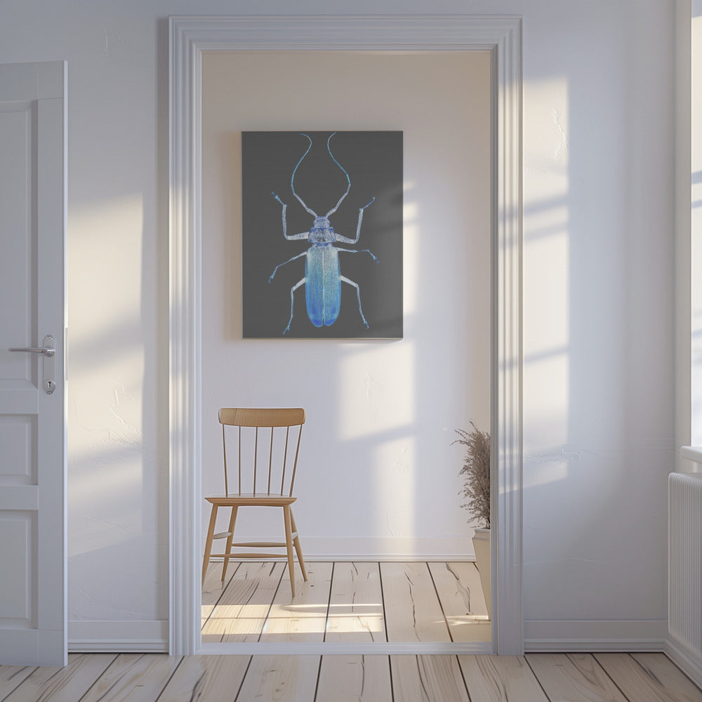 Neonkäfer Eleganz | Leinwand