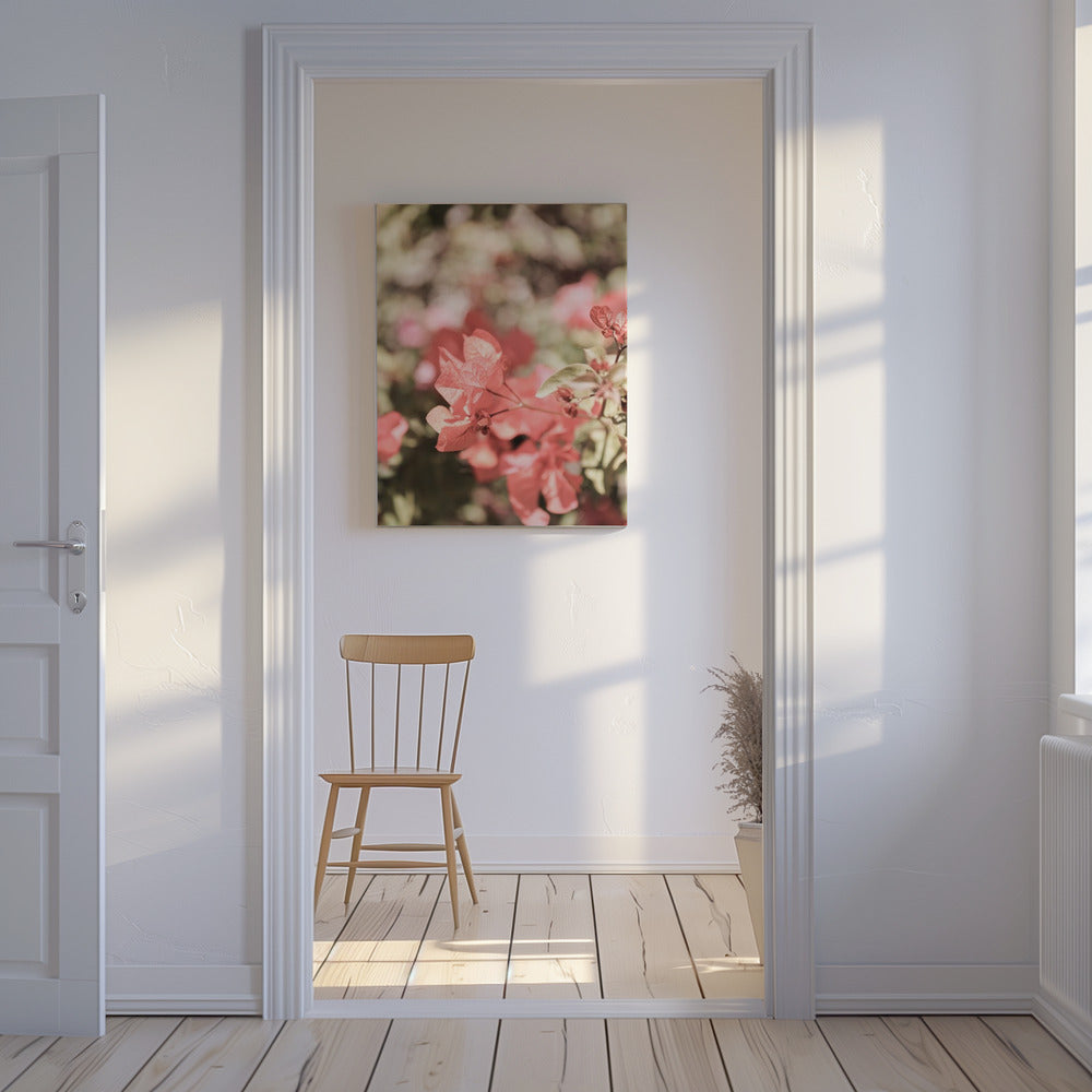 Blütenblätter im Fokus | Leinwand
