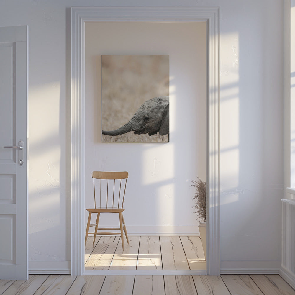 Sanfter Blick des Riesen | Leinwand