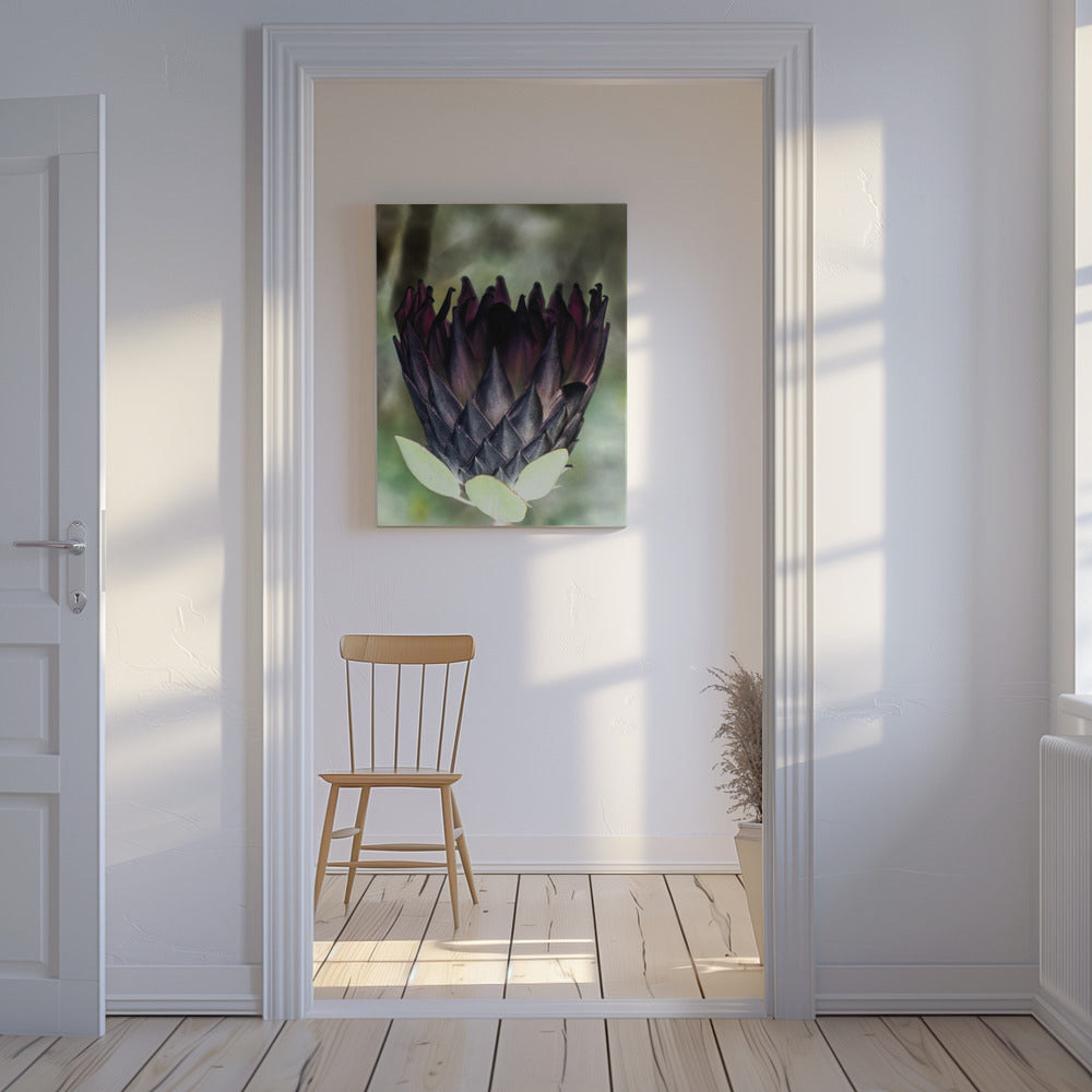 Schattenblüte | Leinwand