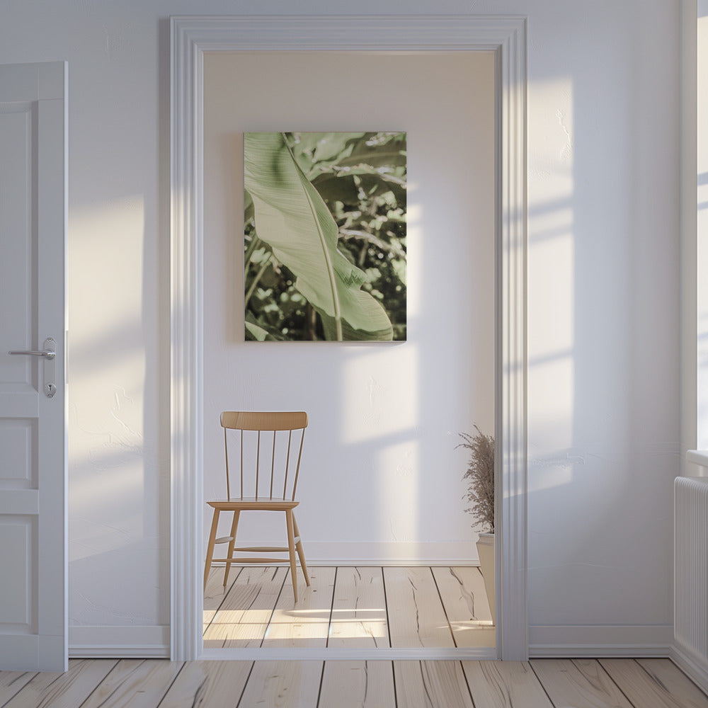 Smaragdgrünes Baldachin | Leinwand