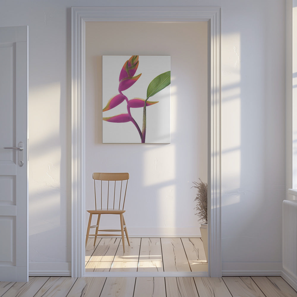 Tropische Eleganz | Leinwand