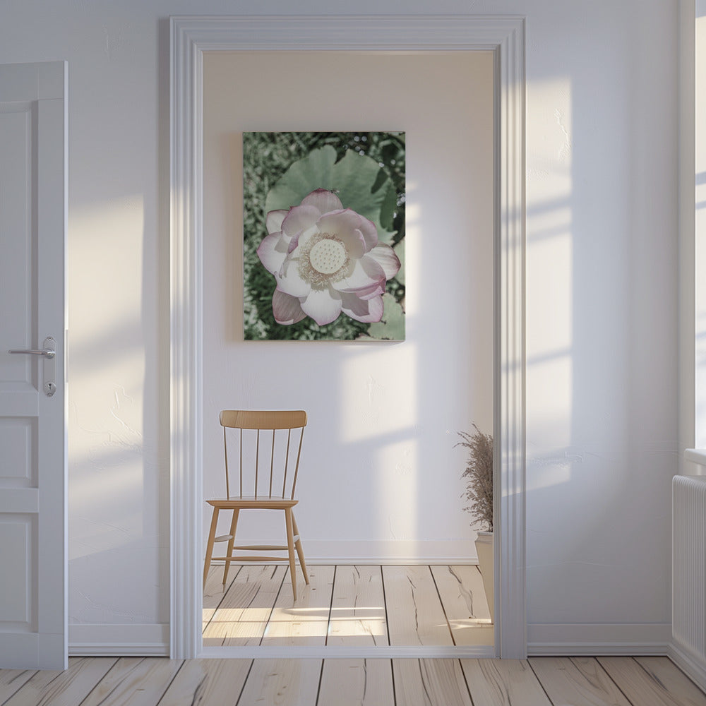 Lotus Serenity | Leinwand