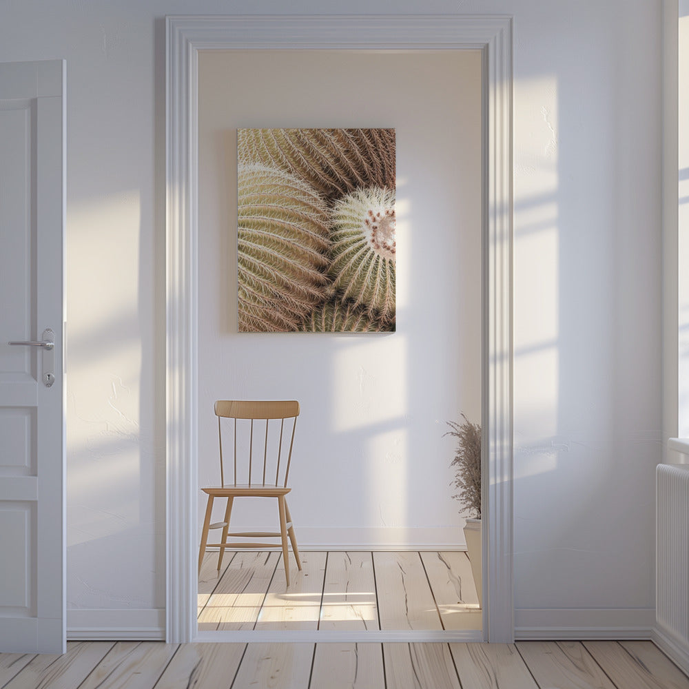 Spirale der Stacheln | Leinwand