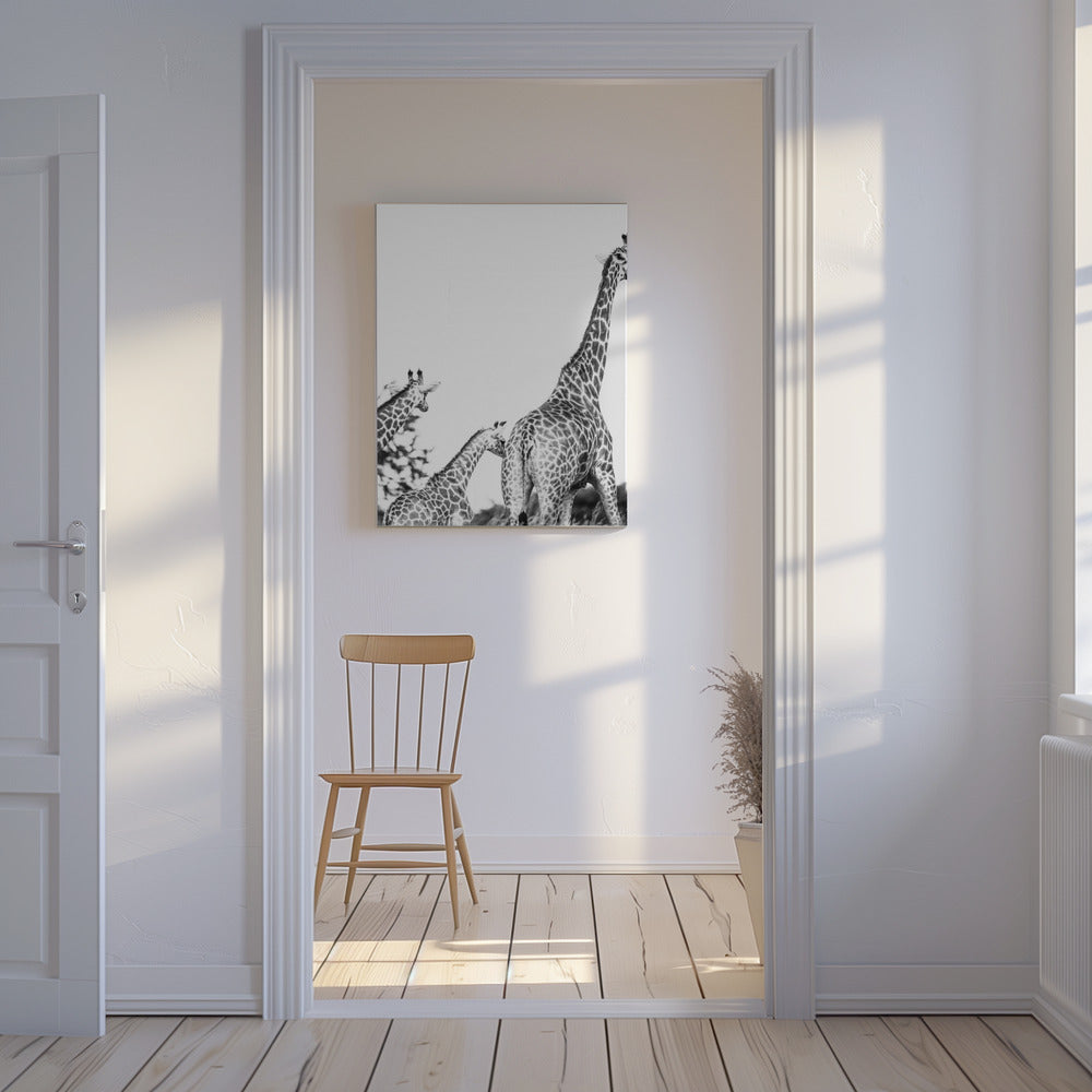 Giraffe Family Stroll | Canvas